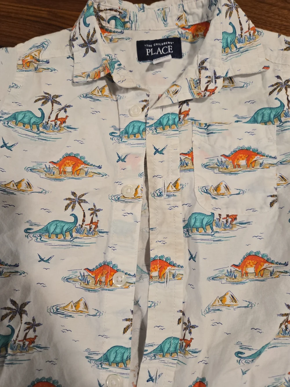 The Children's Place White Dino Print Short-Sleeve Button Down Shirt - Boys